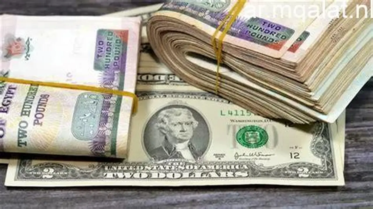 استقرار سعر صرف الدولار أمام الجنيه المصري في تعاملات الجمعة 6 مارس